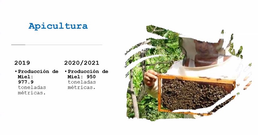 cuadro1